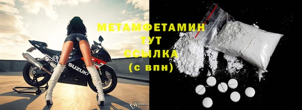 шишки Гусиноозёрск