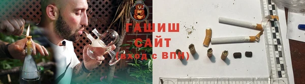 шишки Гусиноозёрск